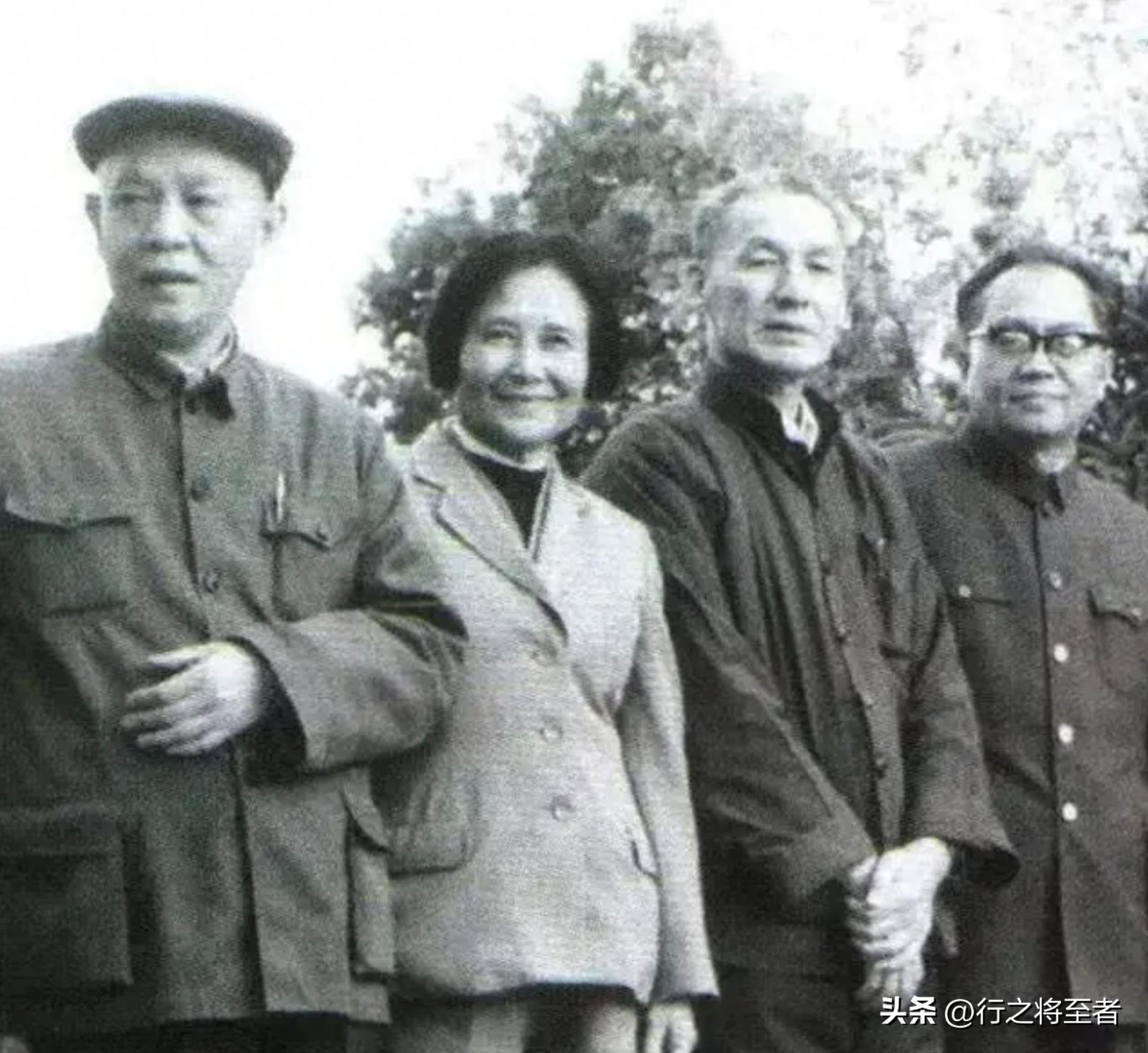 最新高干文掀起阅读热潮!