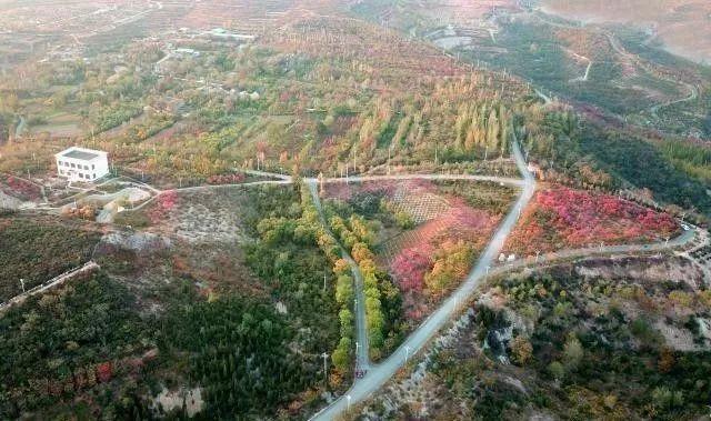 焦作拆迁最新动态,探索自然美景之旅,寻求内心宁静与平和