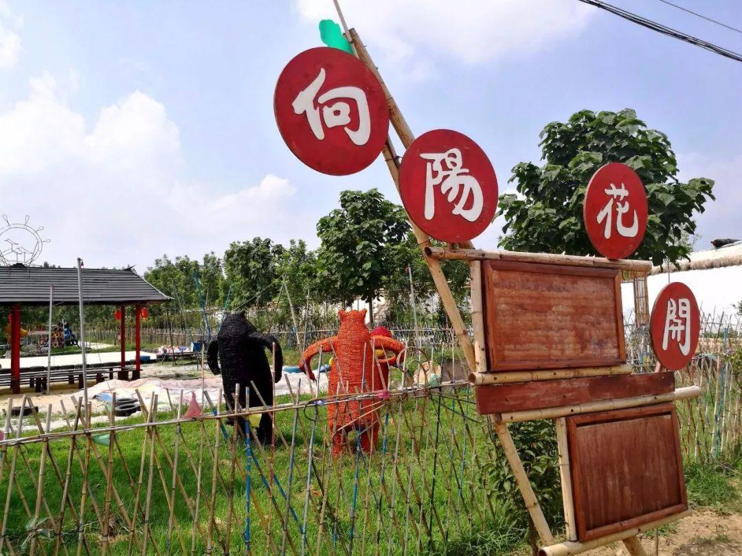 向往的生活最新一期,欢乐时光下的温馨田园