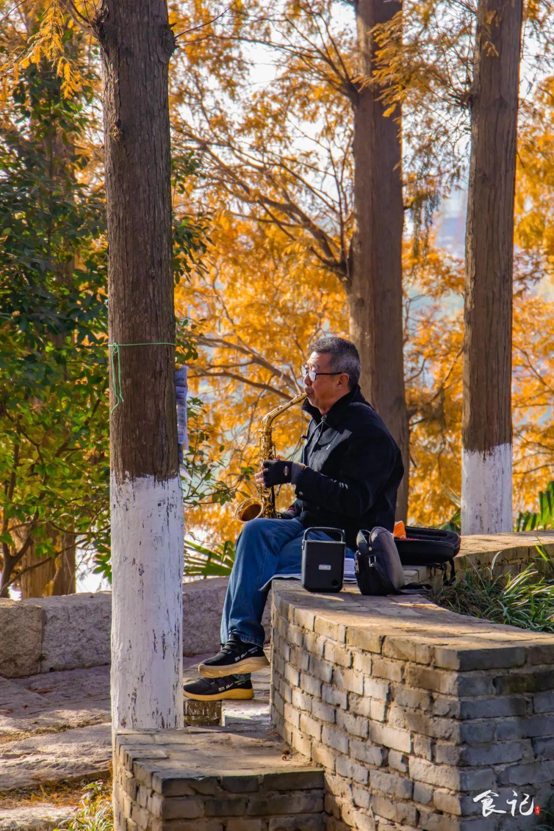 襄阳最新新闻,拥抱自然,心灵宁静之旅