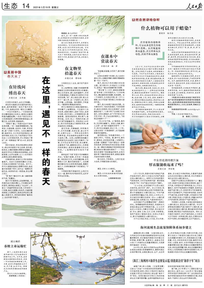 最新社会新闻,心灵与自然的完美邂逅