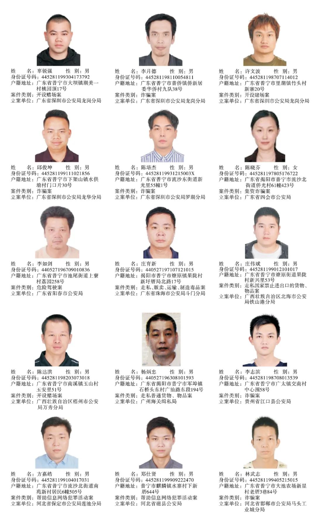 最新网逃人员全面审视与深入分析揭秘真相