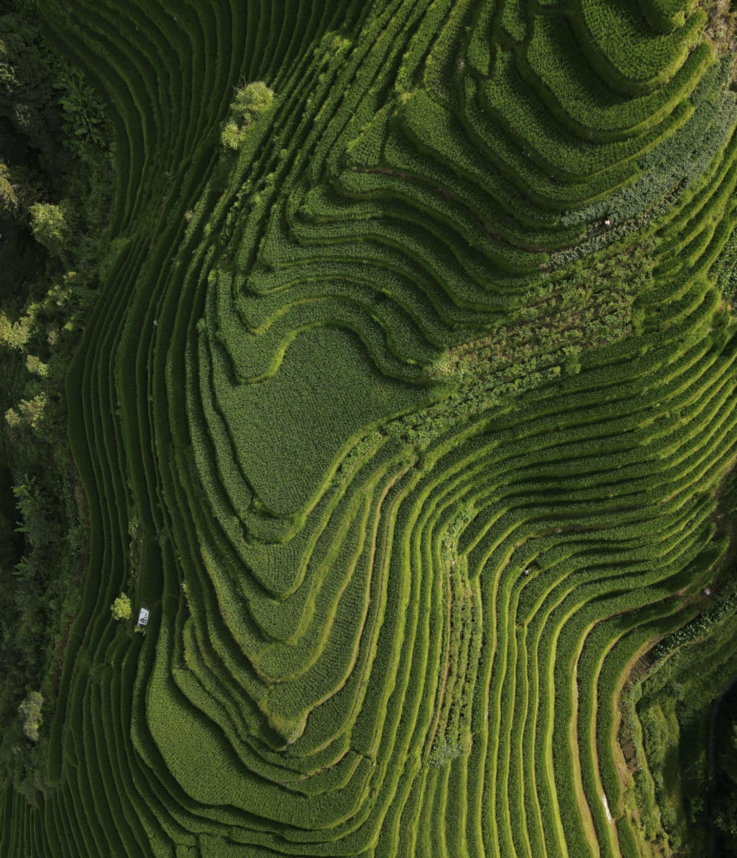 美图最新款,科技与美学的完美融合之作