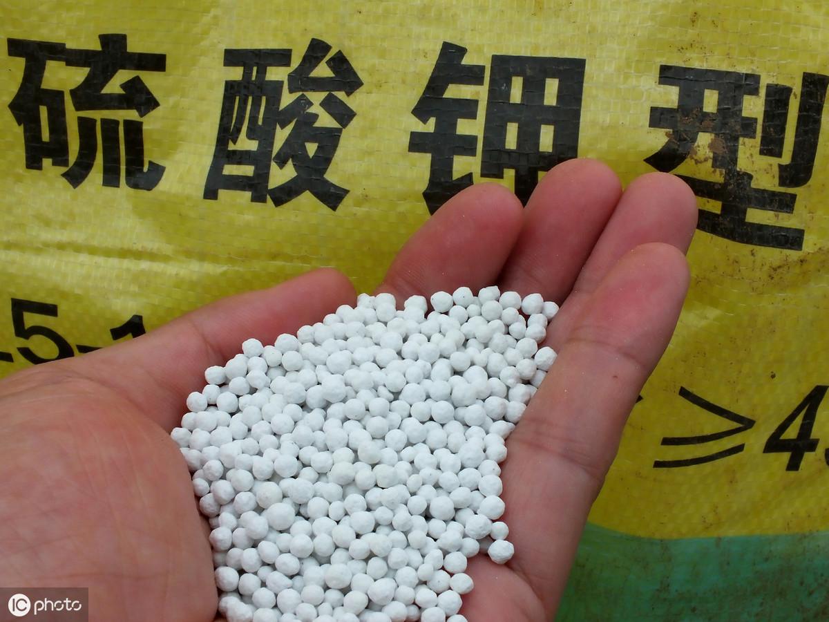 硫酸铵最新价格获取指南,最新价格一览