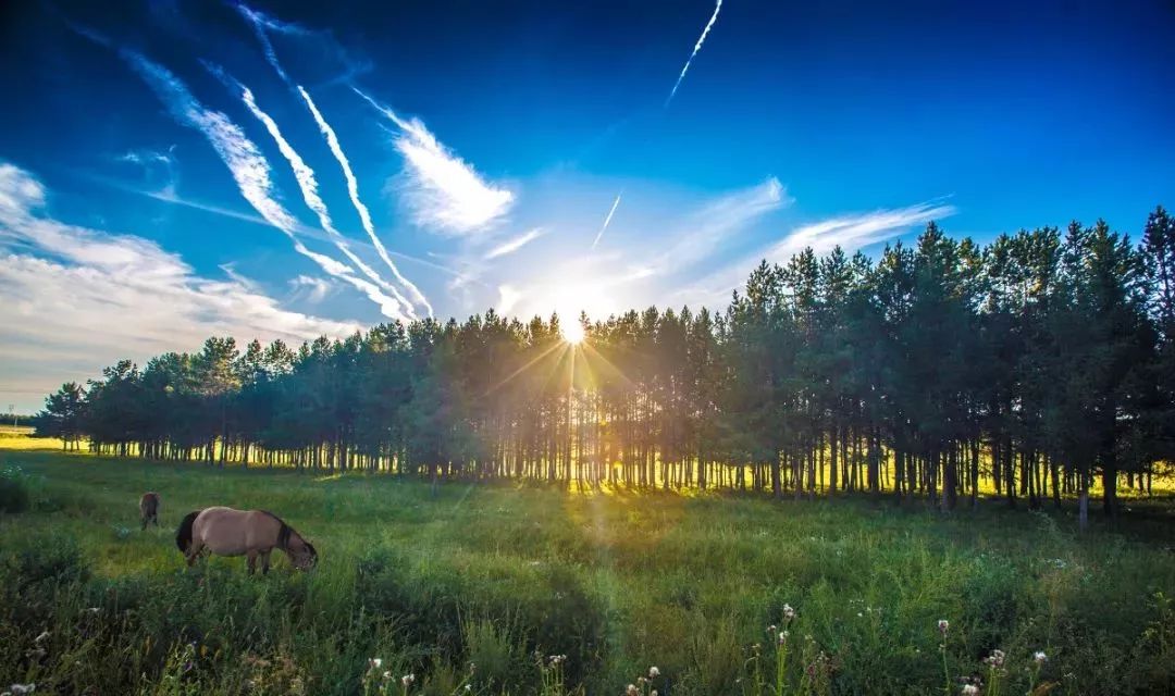 二美最新视频,心灵与自然的奇妙之旅