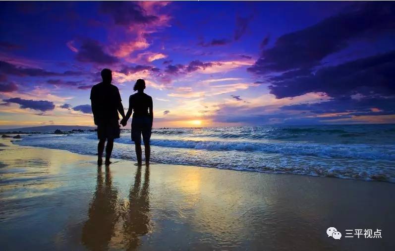 二美最新视频,心灵与自然的奇妙之旅