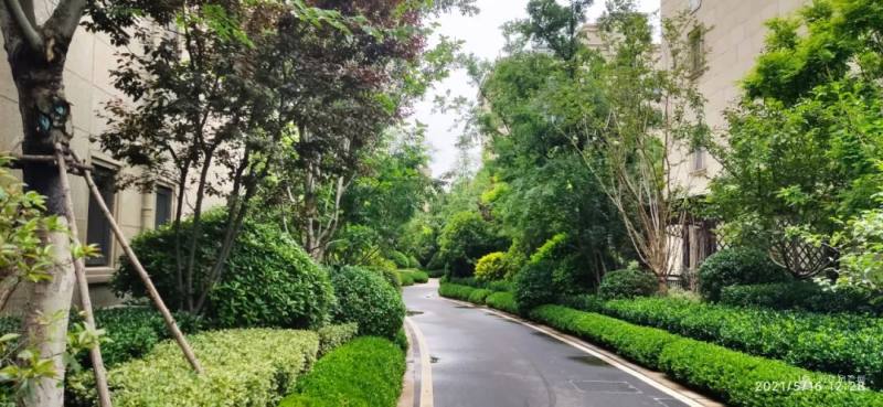 时代旋律与文化印记,最新影视歌曲大盘点