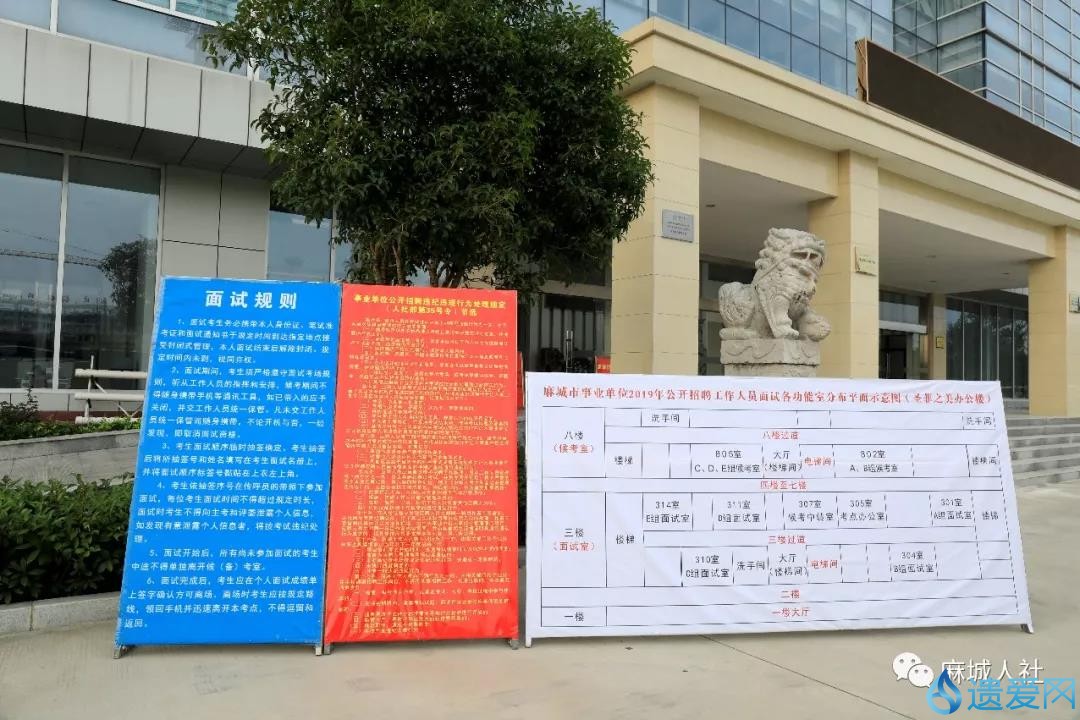 麻城最新招聘信息,变化中的自信,学习与未来共铸发展之路