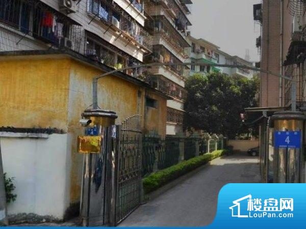 南宁房价最新动态与巷弄深处的特色小店揭秘