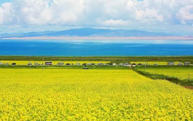 沙钢与自然美景的邂逅,探索内心平静的旅程最新消息