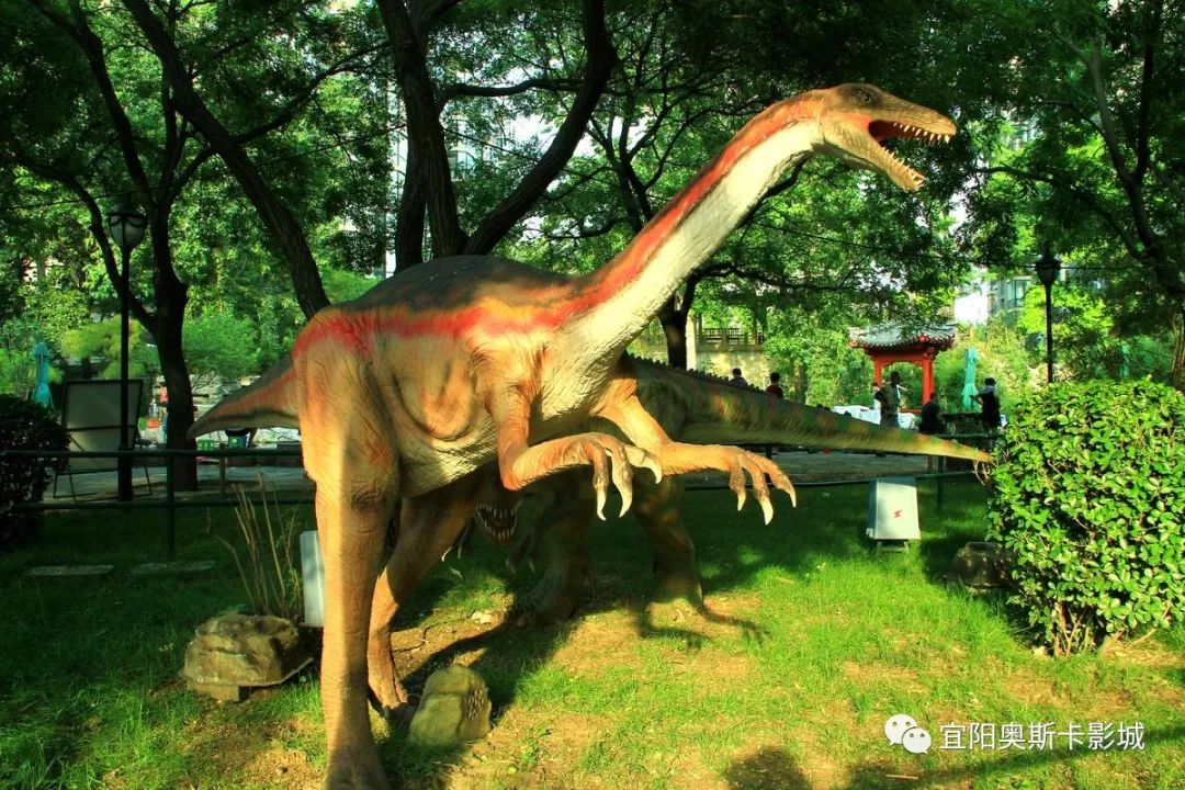 最新恐龙电影,探索变化中的学习之旅,自信与成就感的源泉