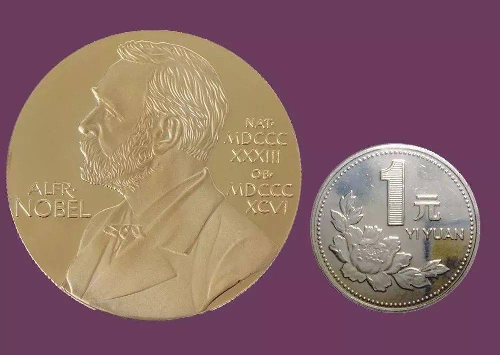 诺贝尔奖最新获奖背后的故事,小明的奇妙旅程与友情之光闪耀时刻