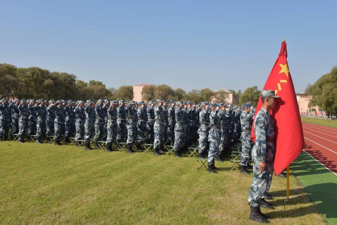 海贼王动画最新动态,热血冒险再度启航!