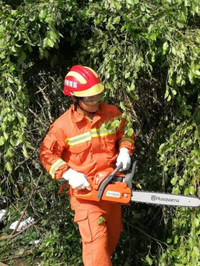 东莞台风最新消息与图片更新