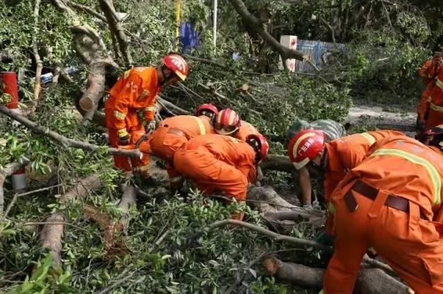 东莞台风最新消息与图片更新