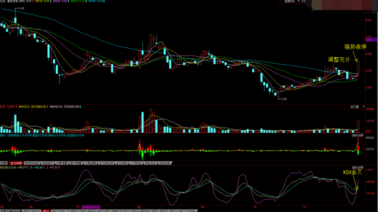 沧州明珠股票最新动态,全面解读最新消息指南