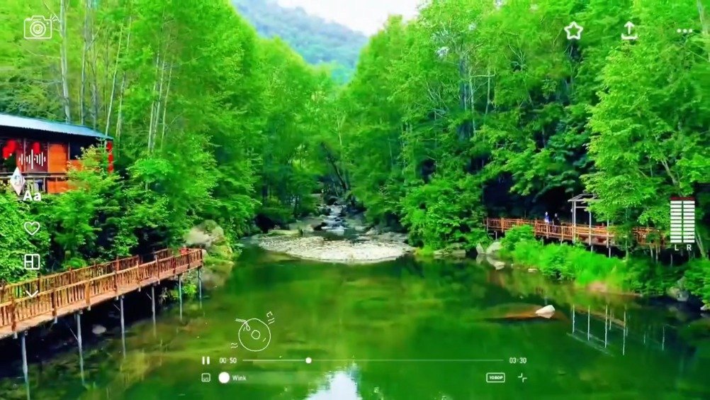 国有林场最新动态揭秘,小巷深处的绿色宝藏与特色小店的奇遇之旅