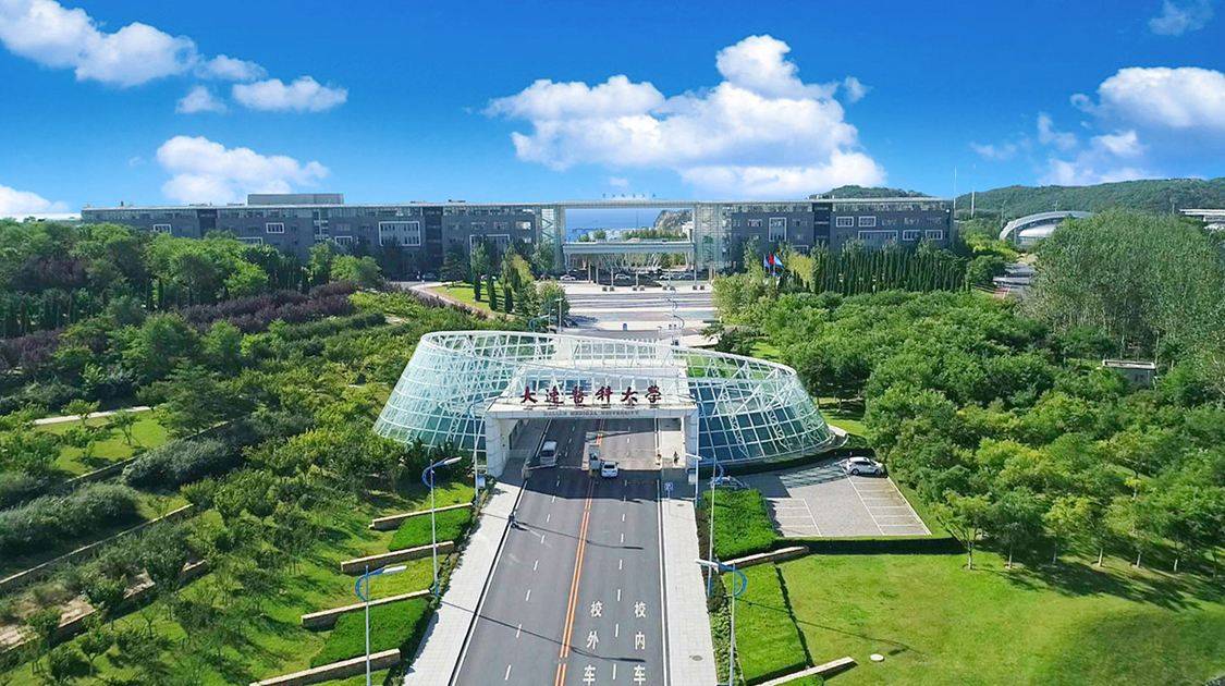 大厂王山头最新动态,学习力量的变革,自信与成就感的培育之源