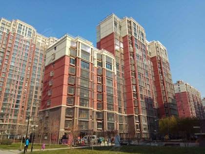 唐山金域名邸最新房价探秘,小巷中的隐藏瑰宝房价揭秘