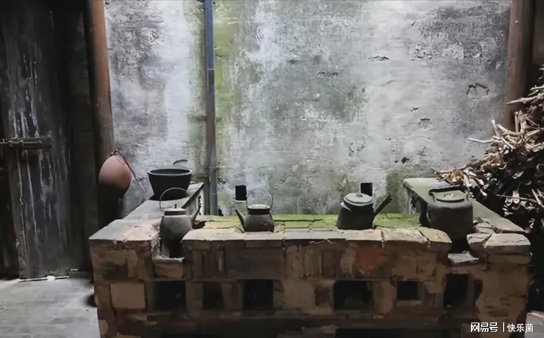 温立三最新消息揭秘,小巷深处的独特风味探秘之旅