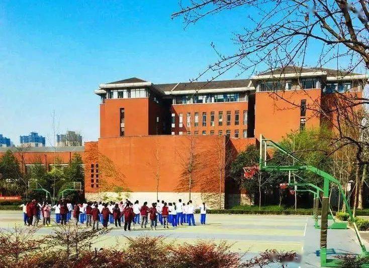 殷秀梅最新消息揭秘,小巷中的隐藏美食天堂探秘