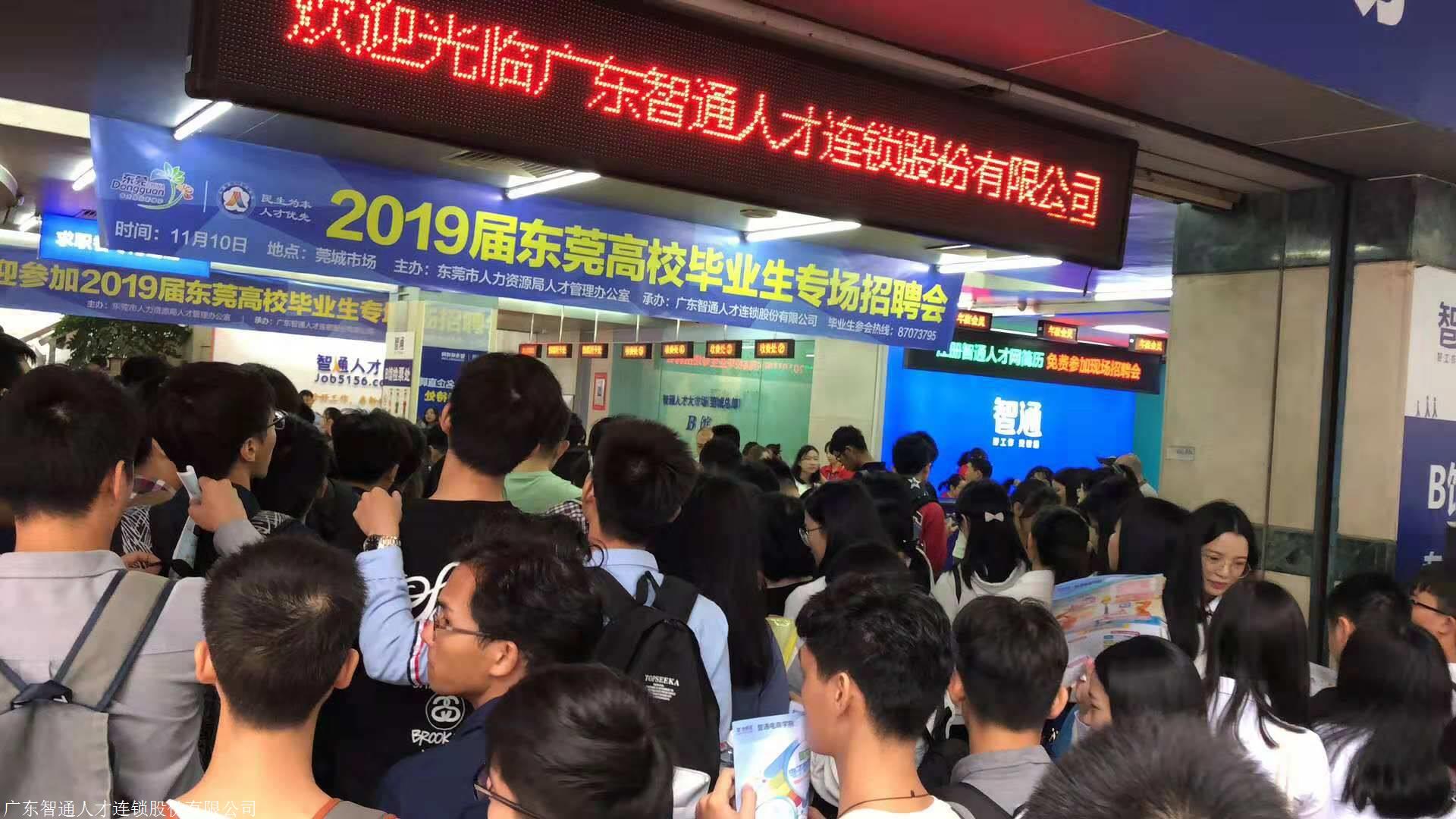 东莞智通人才最新招聘,小巷深处的独特机会等你来探索