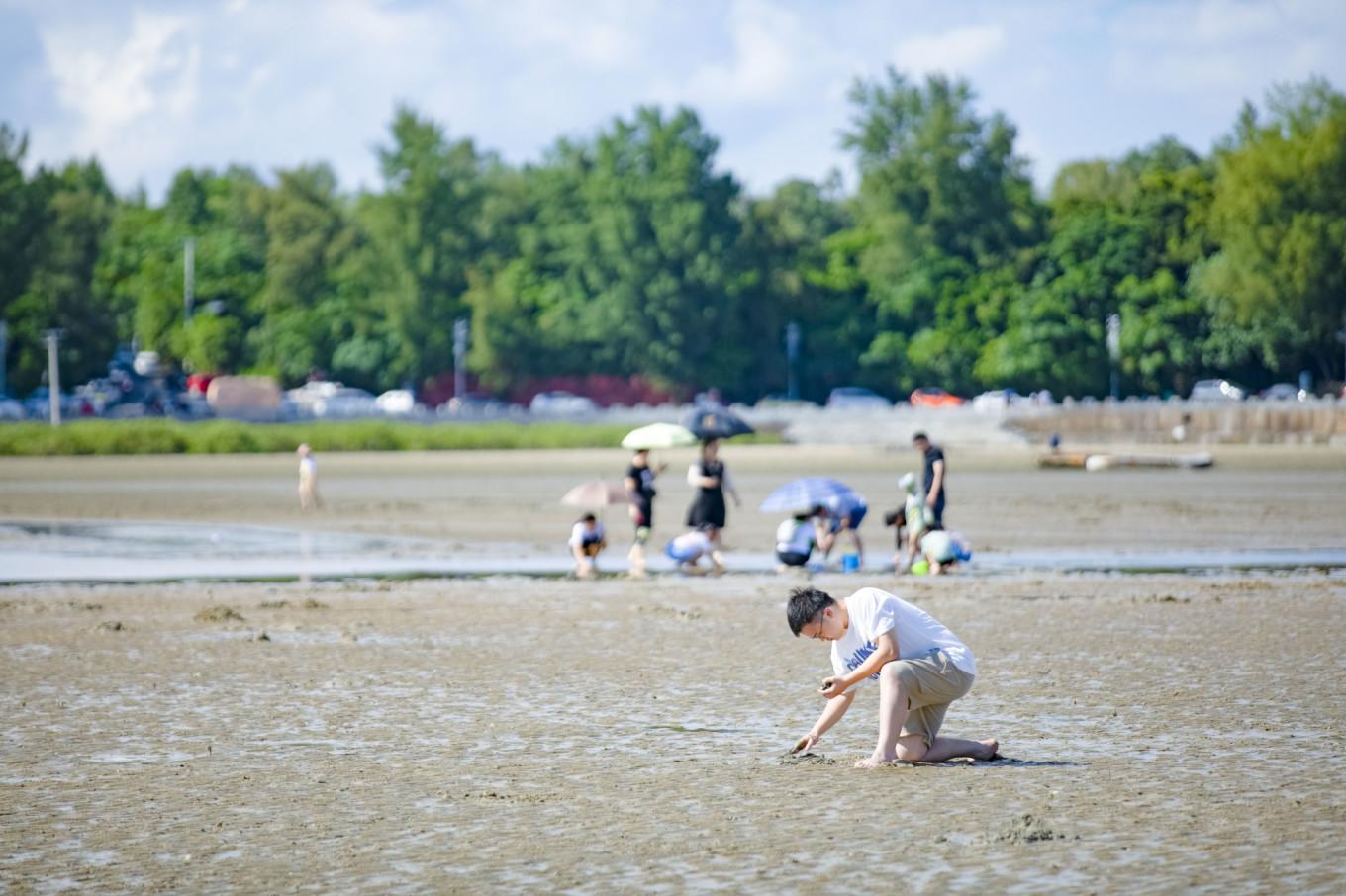 防城港最新楼盘房价探索与心灵旅行,自然美景与内心平静的追寻