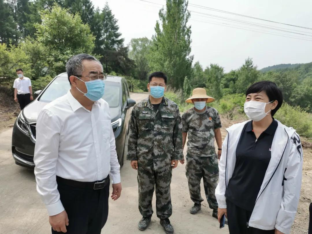 吉林市最新副市长名单及观点论述概述