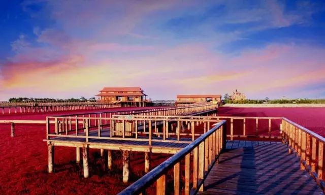 天台庞新东,与自然美景的邂逅与内心平和之旅的最新消息