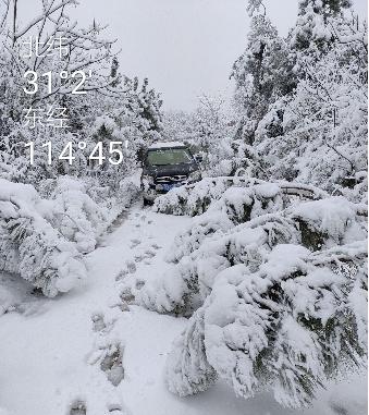 随州市最新停电通知,爱与陪伴的力量传递温馨故事