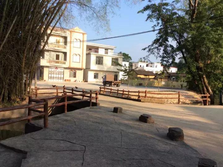 怀集网新闻最新消息,拥抱自然之旅,重拾内心宁静的旅程