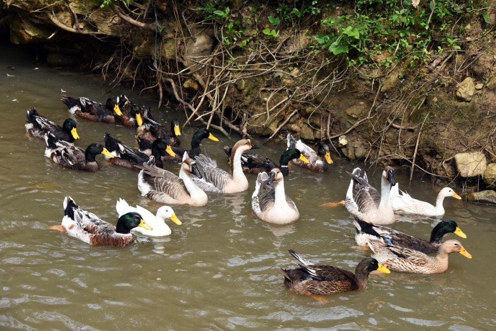 怀集网新闻最新消息,拥抱自然之旅,重拾内心宁静的旅程
