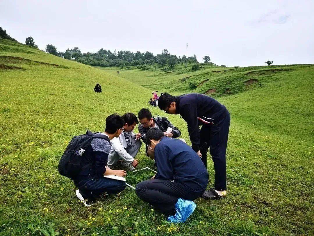 草刘2017最新地址探索与发现之旅揭秘