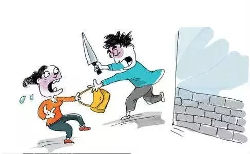 石家庄最新盗窃案件深度分析与观点阐述