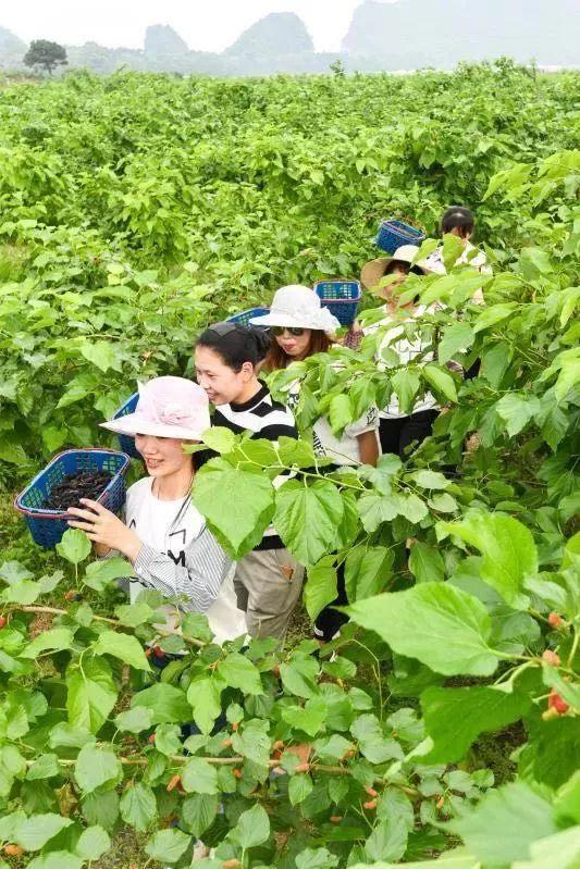 临桂区人事任免背后的故事与小巷美食探秘揭秘