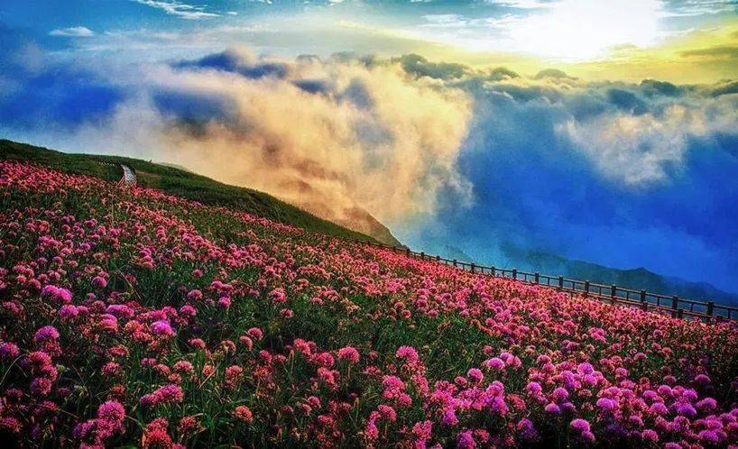 顺联动力最新动态,探寻自然美景,启程内心宁静之旅