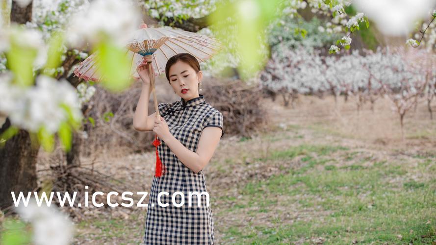 春野小农民的日常趣事最新章节更新