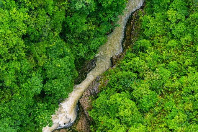 巴市高铁修建最新公告,启程一段温馨有趣的旅程之旅