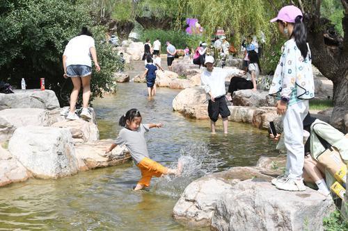 巴市高铁修建最新公告,启程一段温馨有趣的旅程之旅