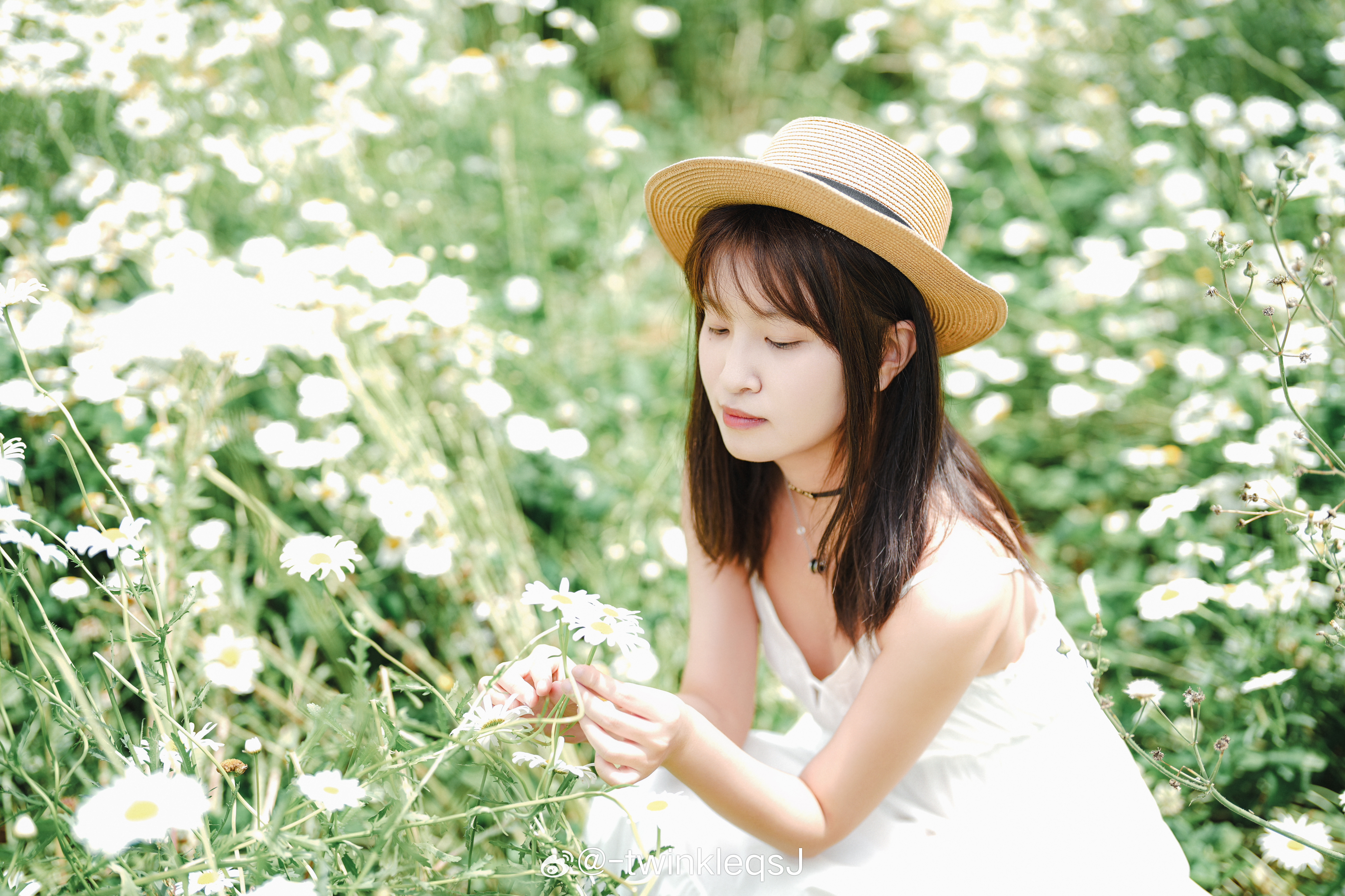 深爱五月最新网站,夏日温馨故事启幕