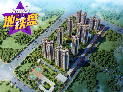 时代春树里最新动态解读与观点阐述