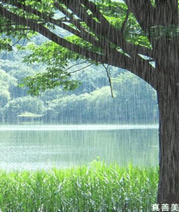 大陆剧网最新电视剧,自然美景的治愈之旅探索季