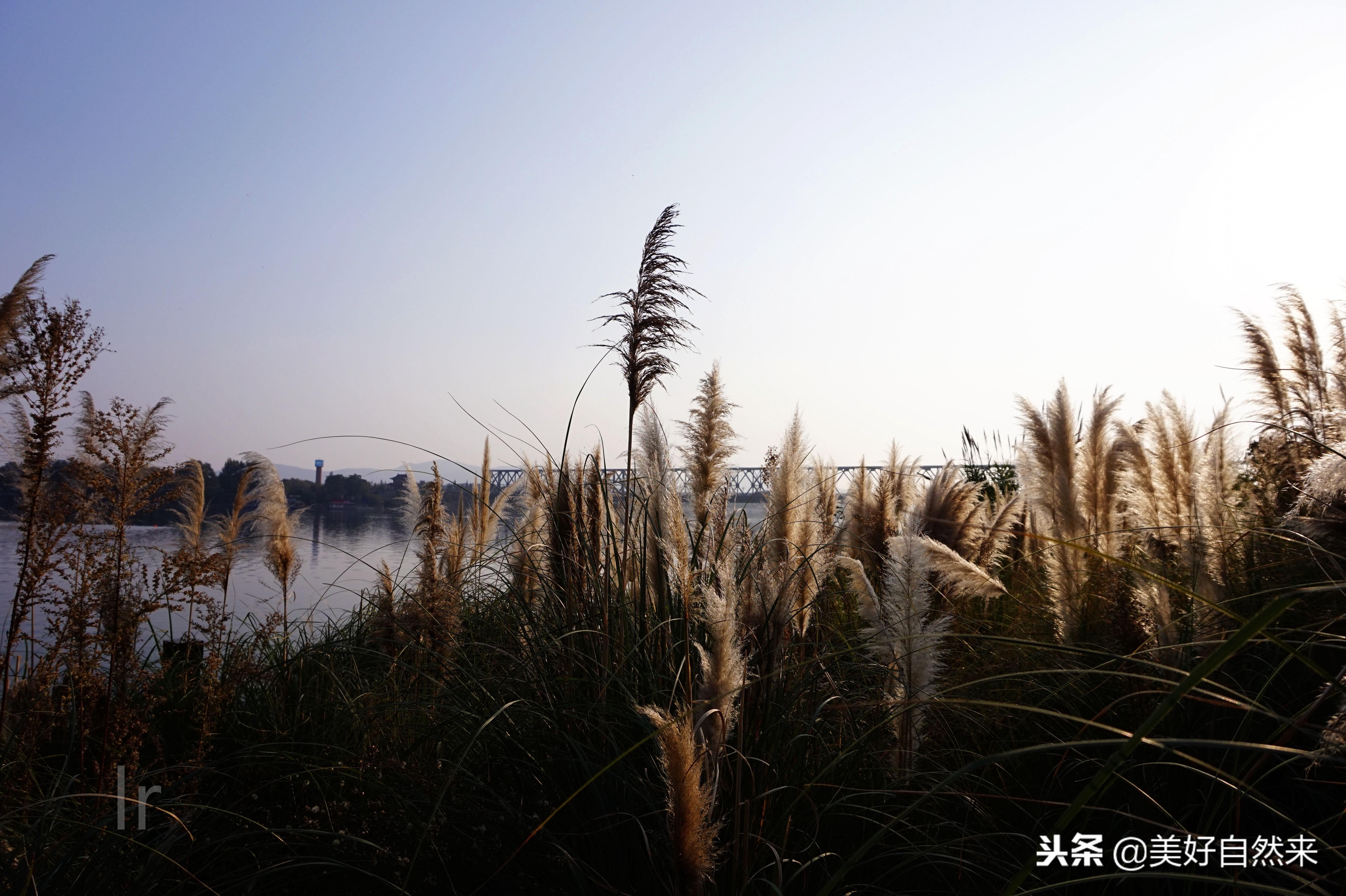 襄阳养老金最新动态与心灵之旅,自然美景中的平和与宁静探寻