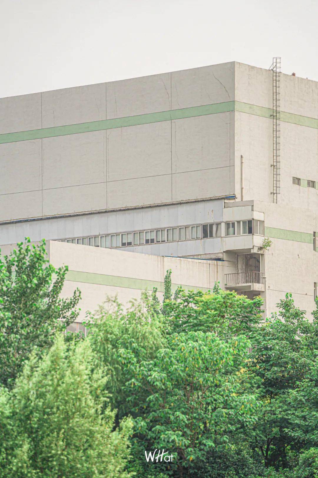 最新江湖产品批发价格的探索之旅