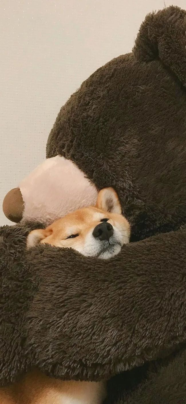 沈丘火车站最新时刻表,变化中的旅程,成就感的源泉