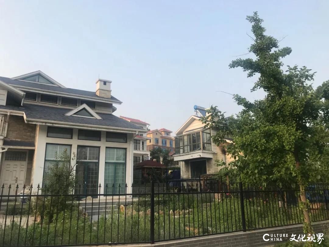 济南蟠龙山水最新动态揭秘,小巷深处的隐藏瑰宝