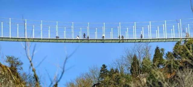 济南天桥北湖最新动态,夏日时光下的温馨进展与美景欣赏