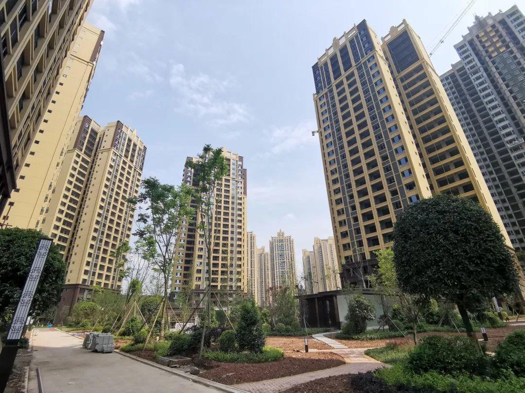 安岳汇金名城,科技引领未来,最新消息揭秘发展动态