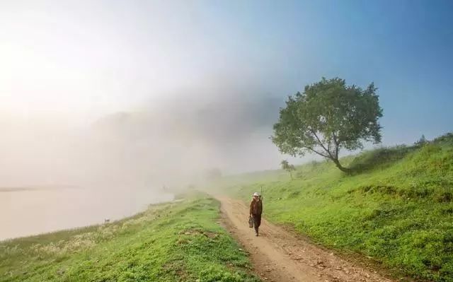 红楼第一狗仔,自然美景探寻与内心宁静之旅最新章节