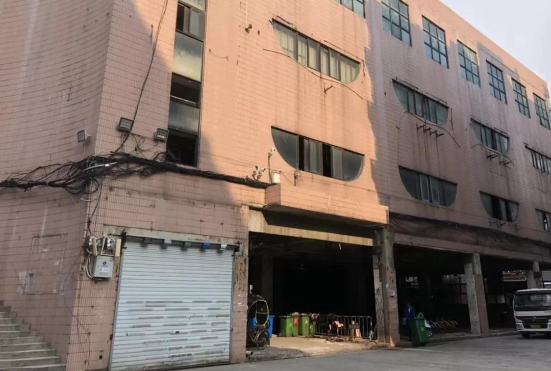 合肥市公安局最新公示与小巷深处独特小店的探秘故事